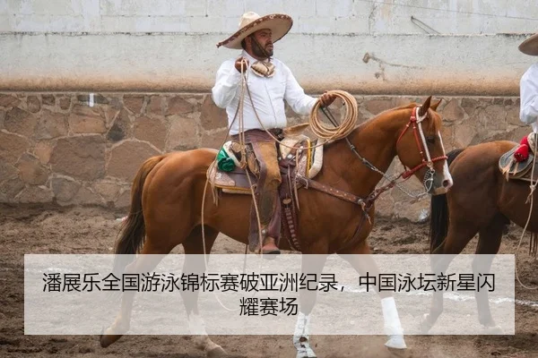潘展乐全国游泳锦标赛破亚洲纪录，中国泳坛新星闪耀赛场